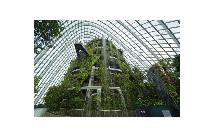 Dans une immense serre futuriste de Singapour, a été reconstitué un environnement de forêt tropicale avec une chute d’eau de 35 mètres.