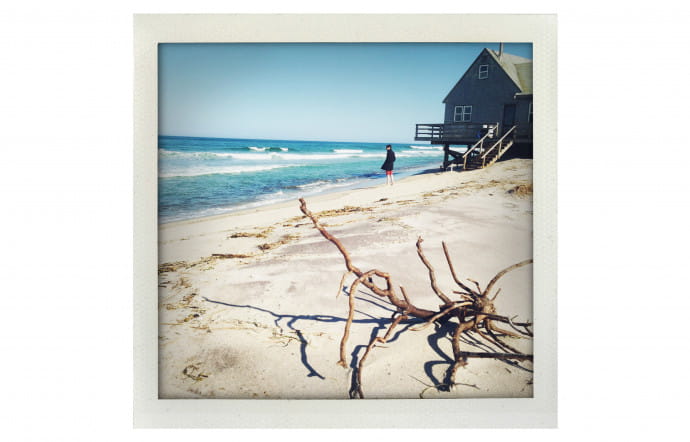 Cape Cod.