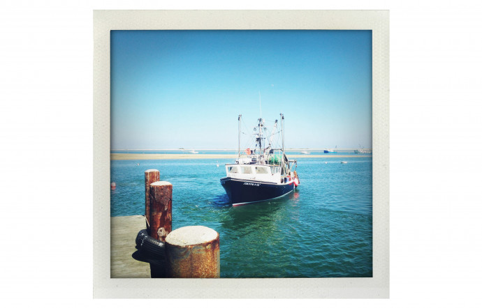 Cape Cod.