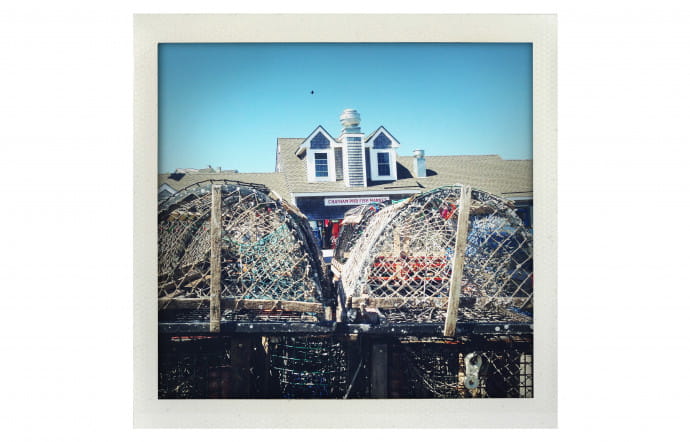 Cape Cod.