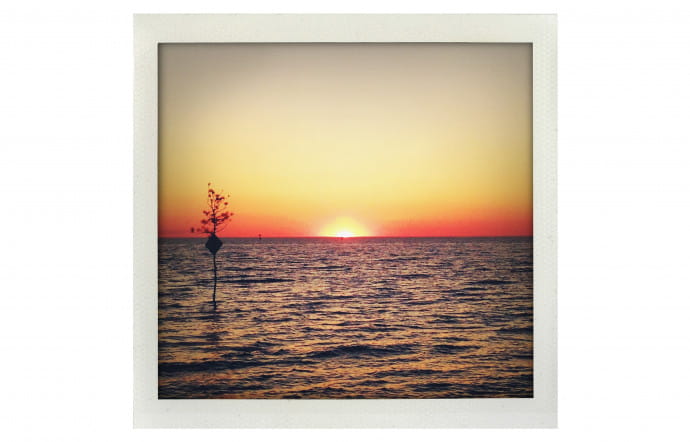 Cape Cod.