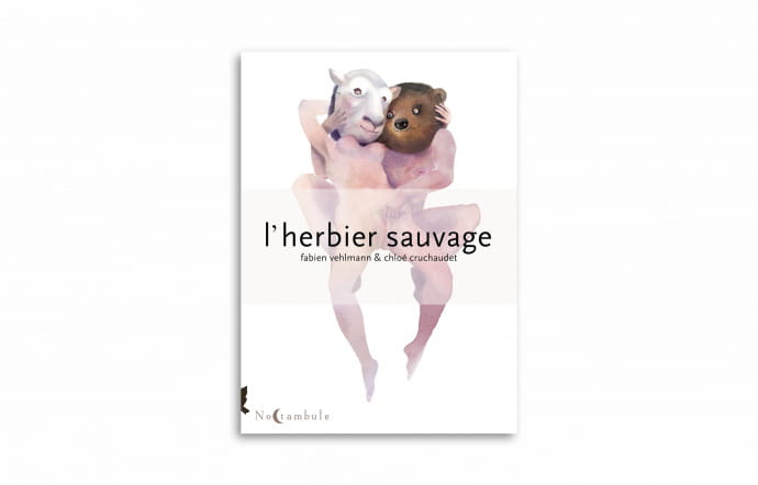 « L’Herbier sauvage », Vehlmann et Cruchaudet, Soleil, 136 pages.