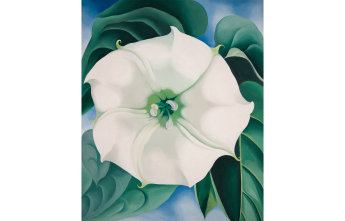 Jimson Weed, White Flower No. 1, 1932.