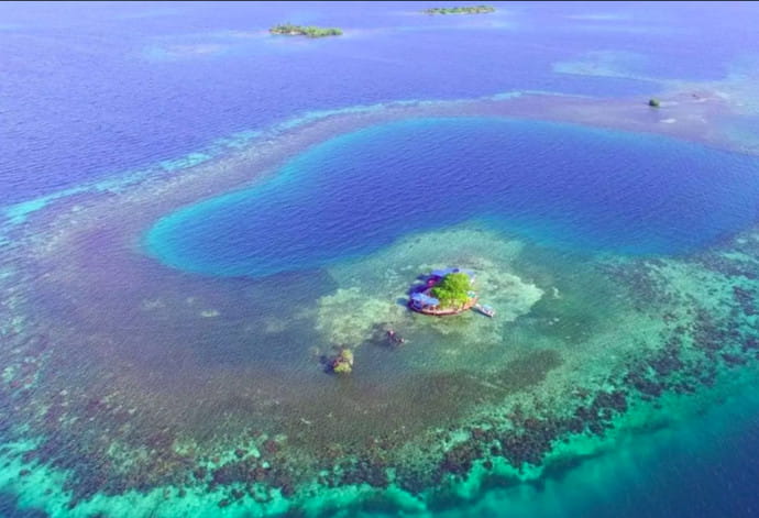 Bird Island – Placencia, Belize