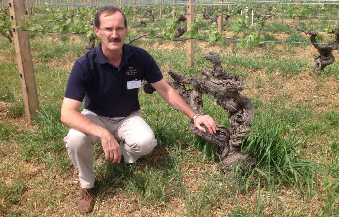 Keith Isaac, Master of Wine et responsable des achats de British Airways.