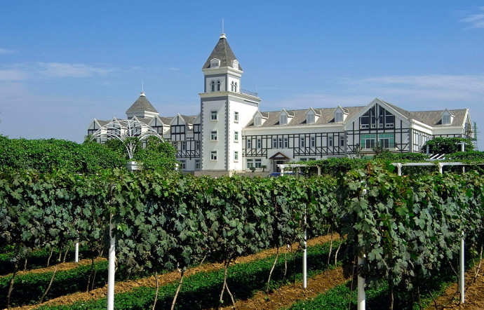 Le partenariat de Castel et Changyu, à Yantai, a produit l’un des vins chinois les plus prestigieux.