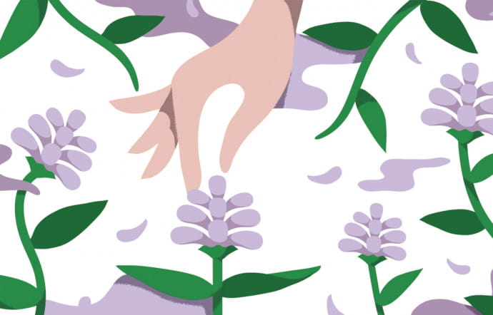 Good Pills : la prunelle.