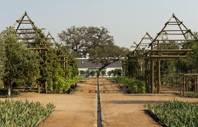 Le verger et le potager de Babylonstoren s’étendent sur 3,5 ha.