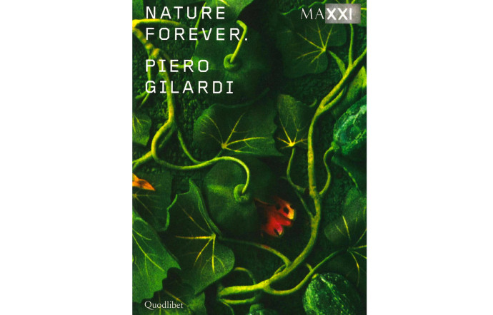 « Nature Forever. Piero Gilardi  » au Maxxi de Rome, une des expositions en Europe sélectionnées par la rédaction cet été. Ici le catalogue édité par Quodlibet, 224 p.