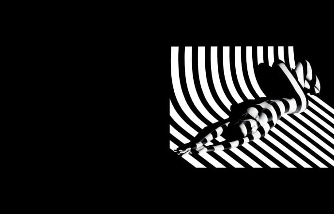 « Zebra 17 », Paris Studio, June 1988.