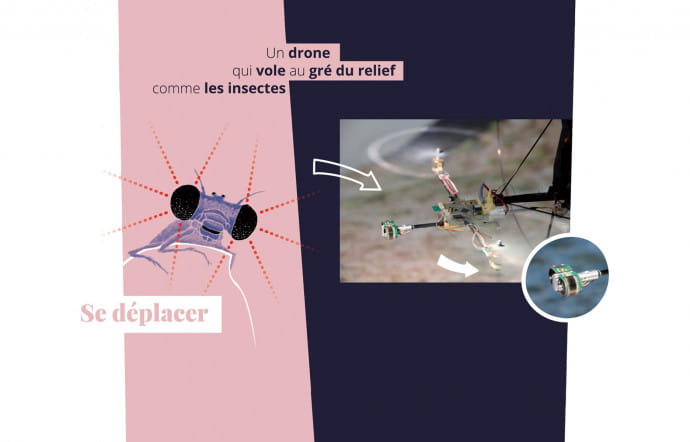 Fin 2016, le CNRS a exposé dans la station Montparnasse-Bienvenüe les travaux de chercheurs en nouvelles technologies prenant « Le vivant comme modèle ».