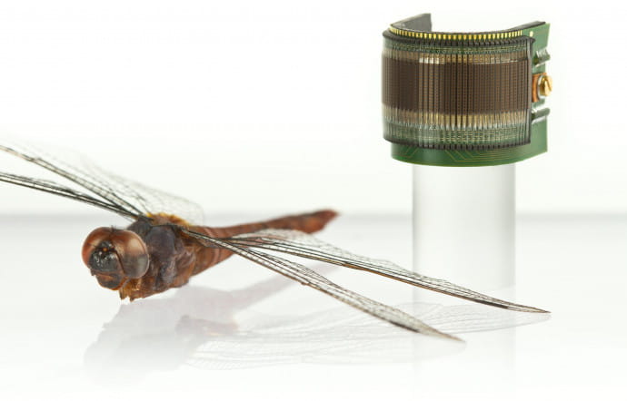 L’œil artificiel CurvACE imite celui, à facettes, de la mouche et de la libellule : vision à 180°, adaptation à la lumière, détection de mouvement. Il équipe le drone BeeRotor.