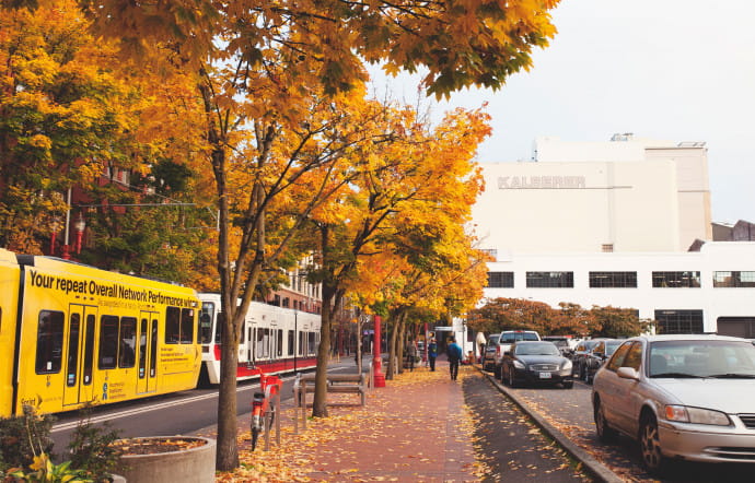 Le feuillage à Portland.