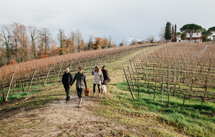 Chasse aux truffes en Provence.