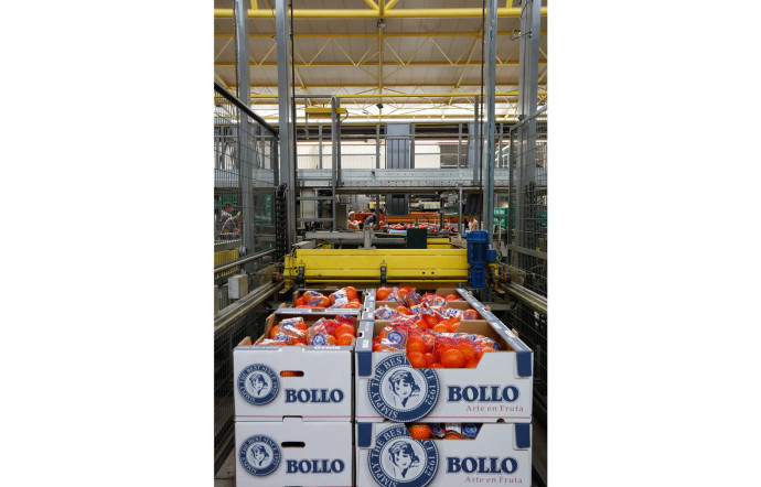 Entre 500 et 700 tonnes d’oranges transitent chaque jour dans l’usine de Benifairó de la Valldigna.