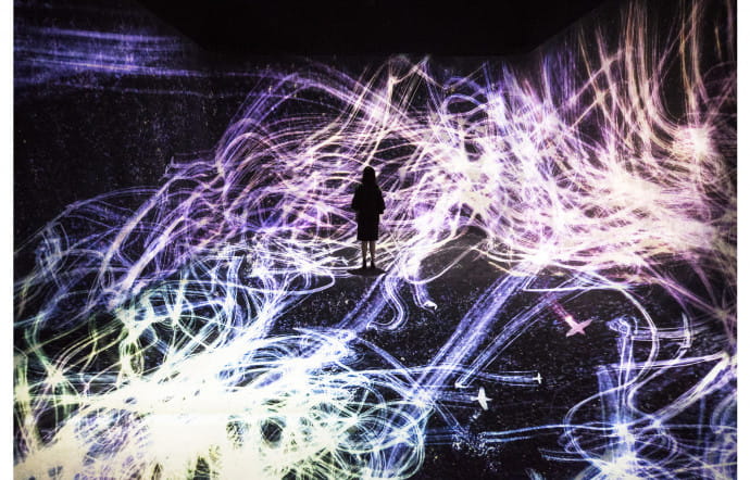 Exhibition View, teamLab : Au-delà des limites , 2018, Grande halle de La Villette, Paris.