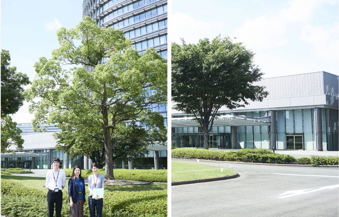 Le siège du groupe Toyota. Avec ses larges avenues et ses immenses bâtiments modernes, la ville prend des airs d’Amérique.