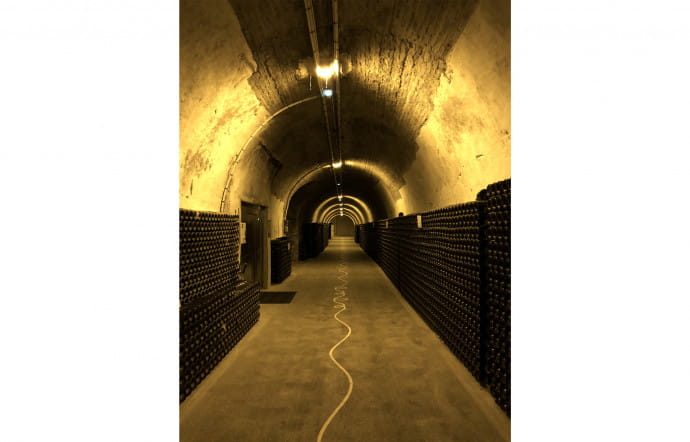 Les caves Ruinart, ouvertes au public le temps des journées particulières, sans réservation.