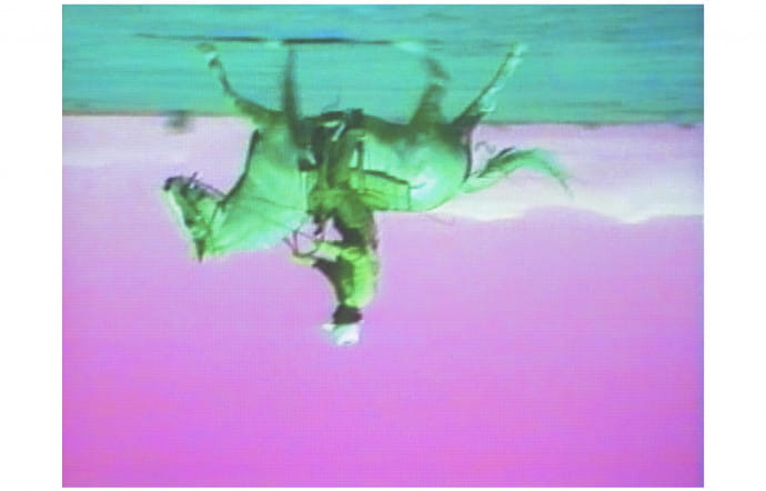 Green Horses, installation vidéo, 1988.