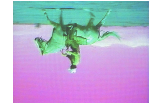 Green Horses, installation vidéo, 1988.