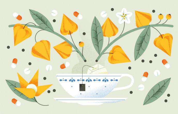Good Pills : physalis.
