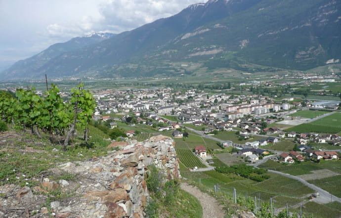 Le vignoble de Fully s’étend sur 340 hectares.
