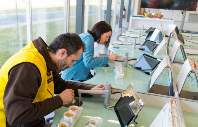 Le grain de café vert suit un processus bien précis : mesure (taille, densité, humidité…), dégustation (légèrement torréfié), puis torréfaction et mouture.