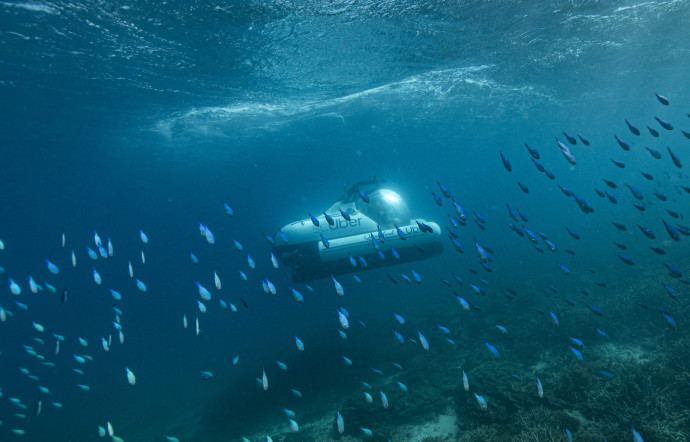A la découverte de la Grande Barrière de corail en sous-marin avec Uber !