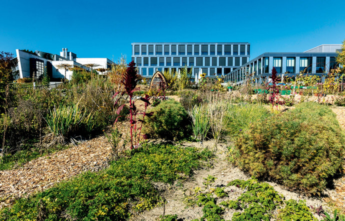 Sur le campus de 7,8 ha où terrains de tennis, de football et cours de salsa ou de Pilates assurent un équilibre corps‑esprit digne des principes de Montaigne.