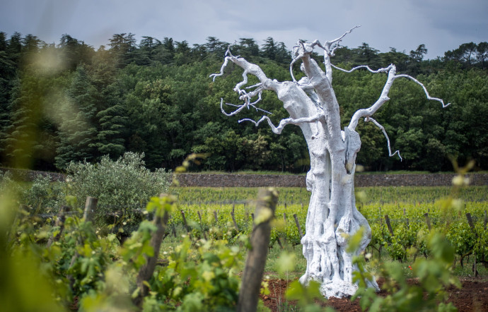 Vins de Provence : un été culturel à la Commanderie de Peyrassol