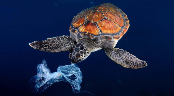 Seaqual 4U vise à nettoyer les océans en recyclant les déchets plastiques.