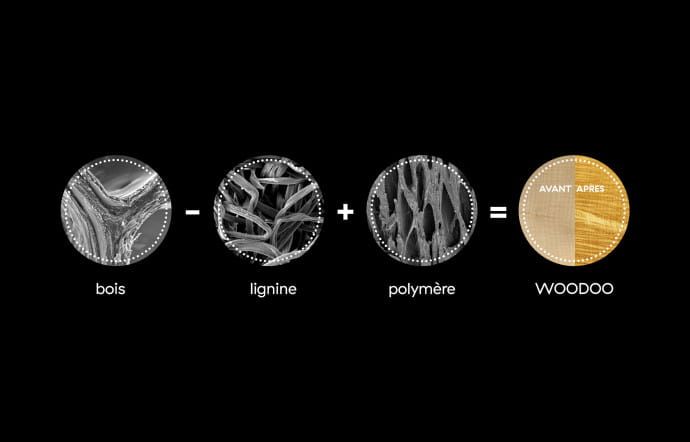 Le remplacement de la lignine par un polymère maison. Cela permet à Woodoo de créer un bois malléable, translucide, imputrescible et résistant au feu.