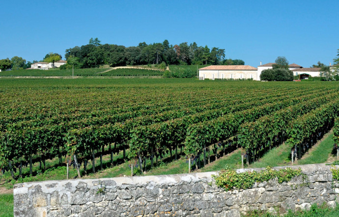 Boudés par les consommateurs, les vins du Bordelais ont un problème d’image plus que de qualité.