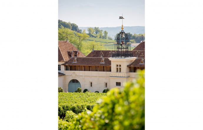 A Saint-Emilion, le Château Angélus a été le premier grand cru classé A à se convertir au bio. Une tendance suivie par nombre de vignerons bordelais.