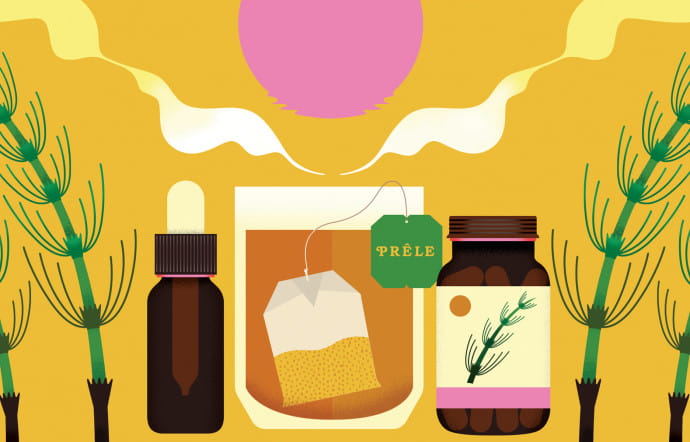 Good Pills : la prêle des champs.