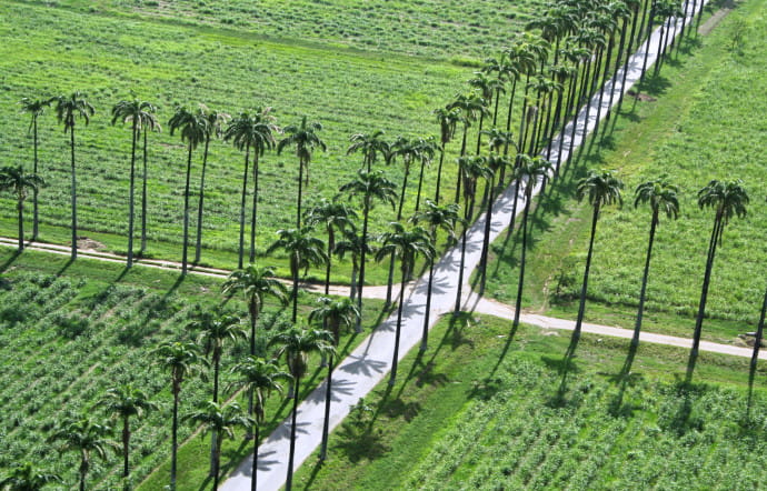 L’Hacienda Santa Teresa est située dans la région d’Aragua, au Venezuela.