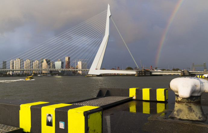 Le pont Erasme, ou Erasmusbrug, est l’un des emblèmes de la ville. Ce pont à haubans de 802 m de long traverse la Nouvelle Meuse et relie les moitiés nord et sud de Rotterdam.