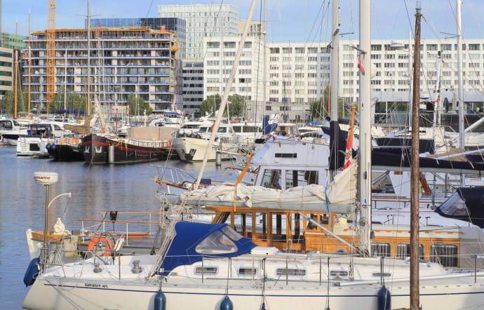Le Willemdok, port de plaisance, est un quartier surtout résidentiel.