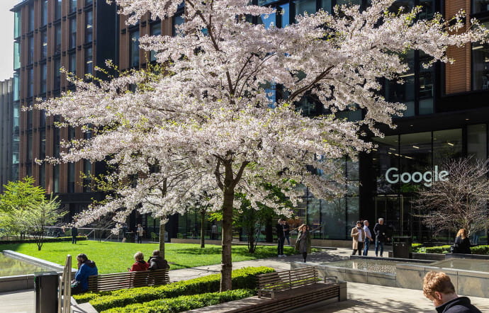 Pancras Square, une belle bouffée de nature au cœur d’un grand programme urbain regroupant bureaux, boutiques et restaurants.