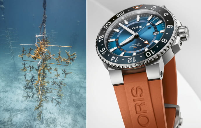 Oris édition limitée Carysfort Reef, une montre à la rescousse du corail