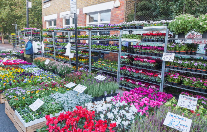 Columbia Road Flower Market.