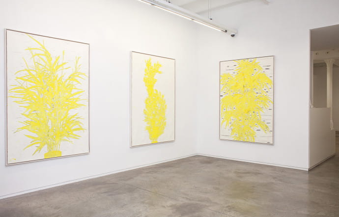 Exposition Nature is an Experiment d’Ania Soliman à la galerie Angels, en 2019.