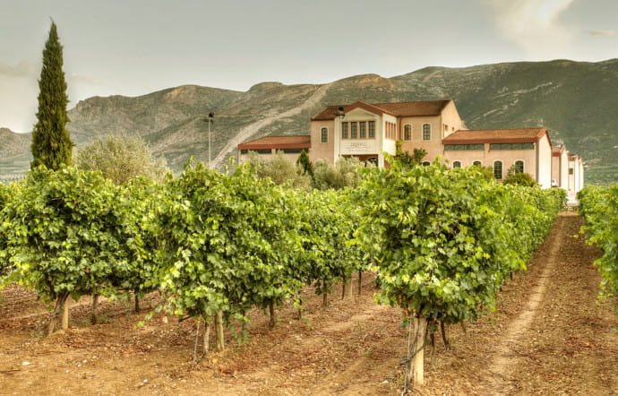 Vins grecs : le retour gagnant du vin de l’Odyssée - The Good Life