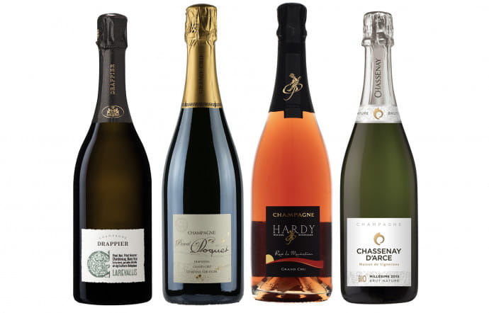 champagnes-bio-2020-selection-2-77