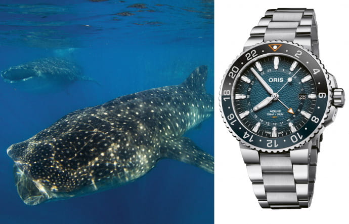 oris-whale-shark-montre-requin-baleine-edition-limitee-2021-1-56