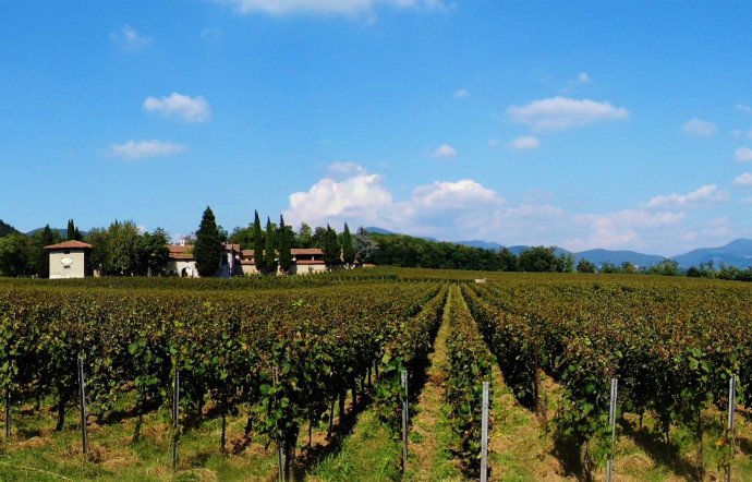 franciacorta vin italien petillant - the good life