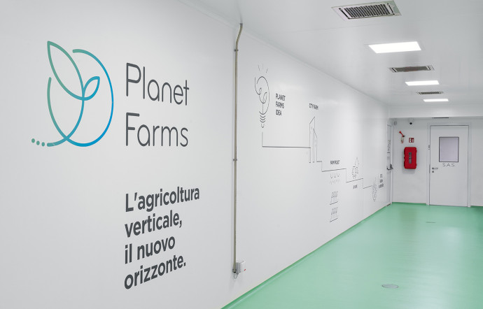 Dans le laboratoire de Planet Farms, installé dans une zone industrielle vieillissante, les plans de plusieurs variétés de laitues, de roquette et de basilic s’étagent du sol au plafond, sur trois niveaux.
