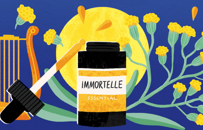 immortelle plante medicinale - the good life