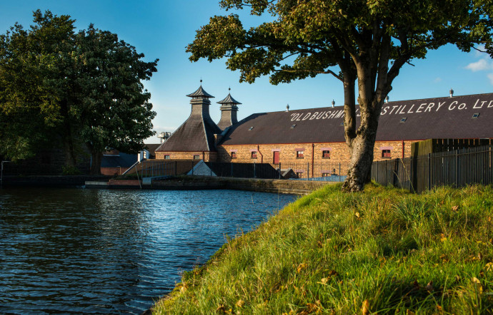 Le whiskey est fabriqué et mis en bouteille à la distillerie de Bushmills depuis des centaines d’années.