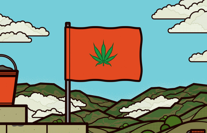 Le royaume du Maroc a lancé un projet de loi visant à légaliser le cannabis vertueux, tout en maintenant l’interdiction de son usage récréatif.